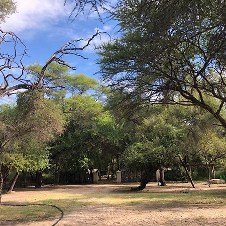 Sitatunga Campsite Maun Esterno foto