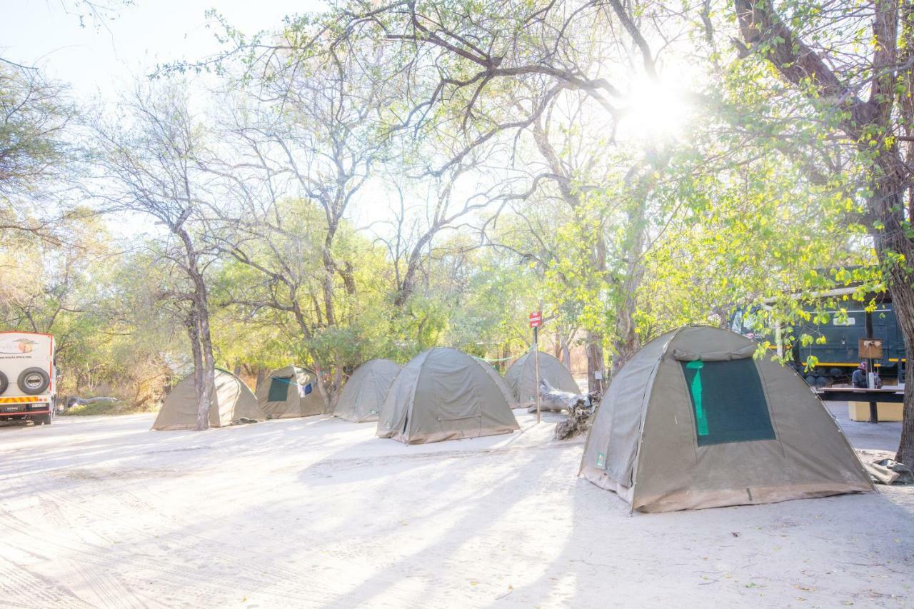 Sitatunga Campsite Maun Esterno foto