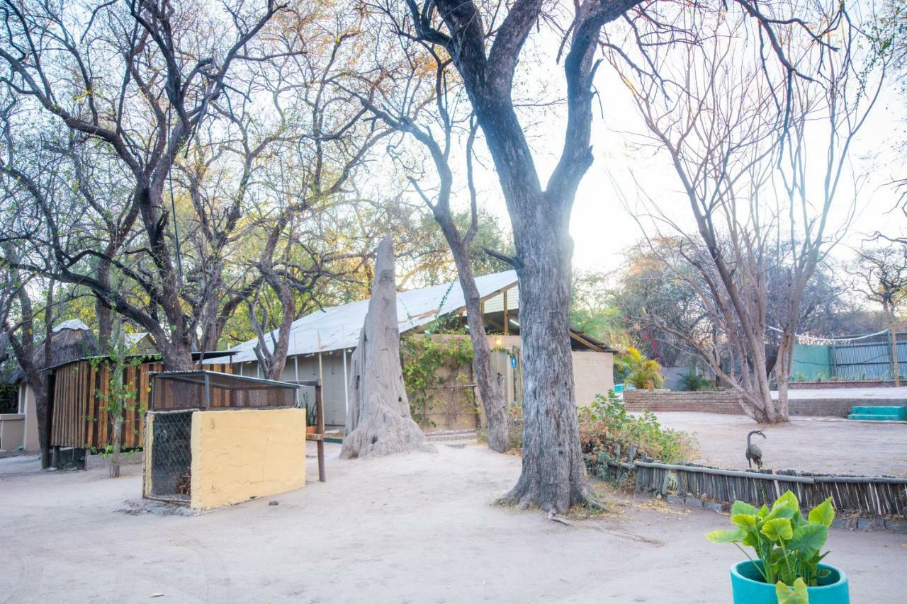 Sitatunga Campsite Maun Esterno foto