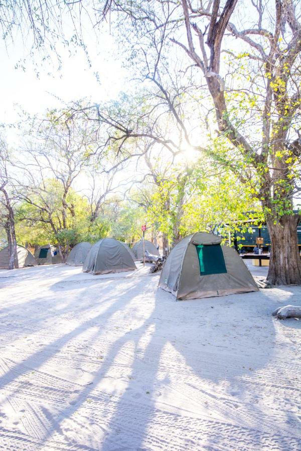 Sitatunga Campsite Maun Esterno foto