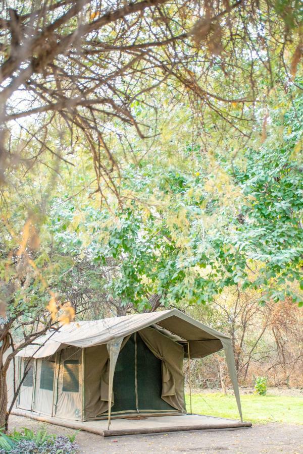 Sitatunga Campsite Maun Esterno foto